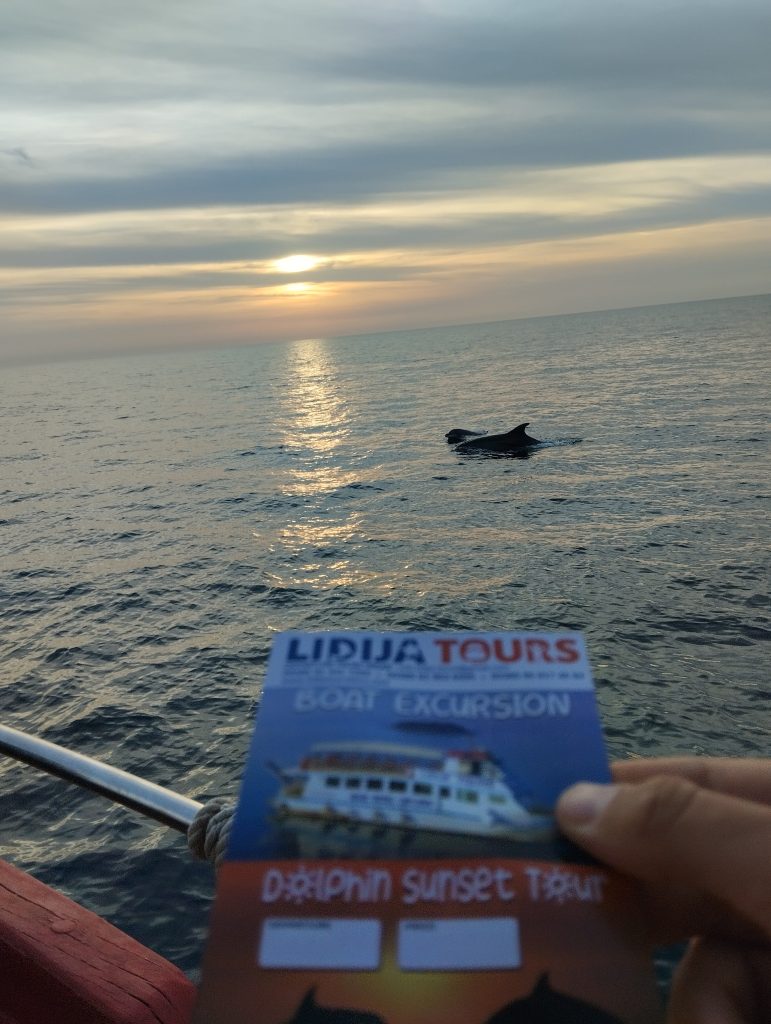 Dolphins in front of our boat with sunset and flyer