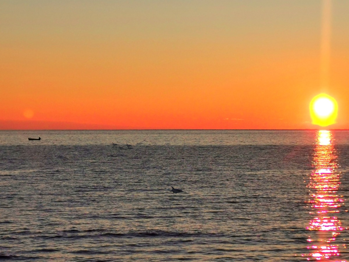 Sunset from a boat trip